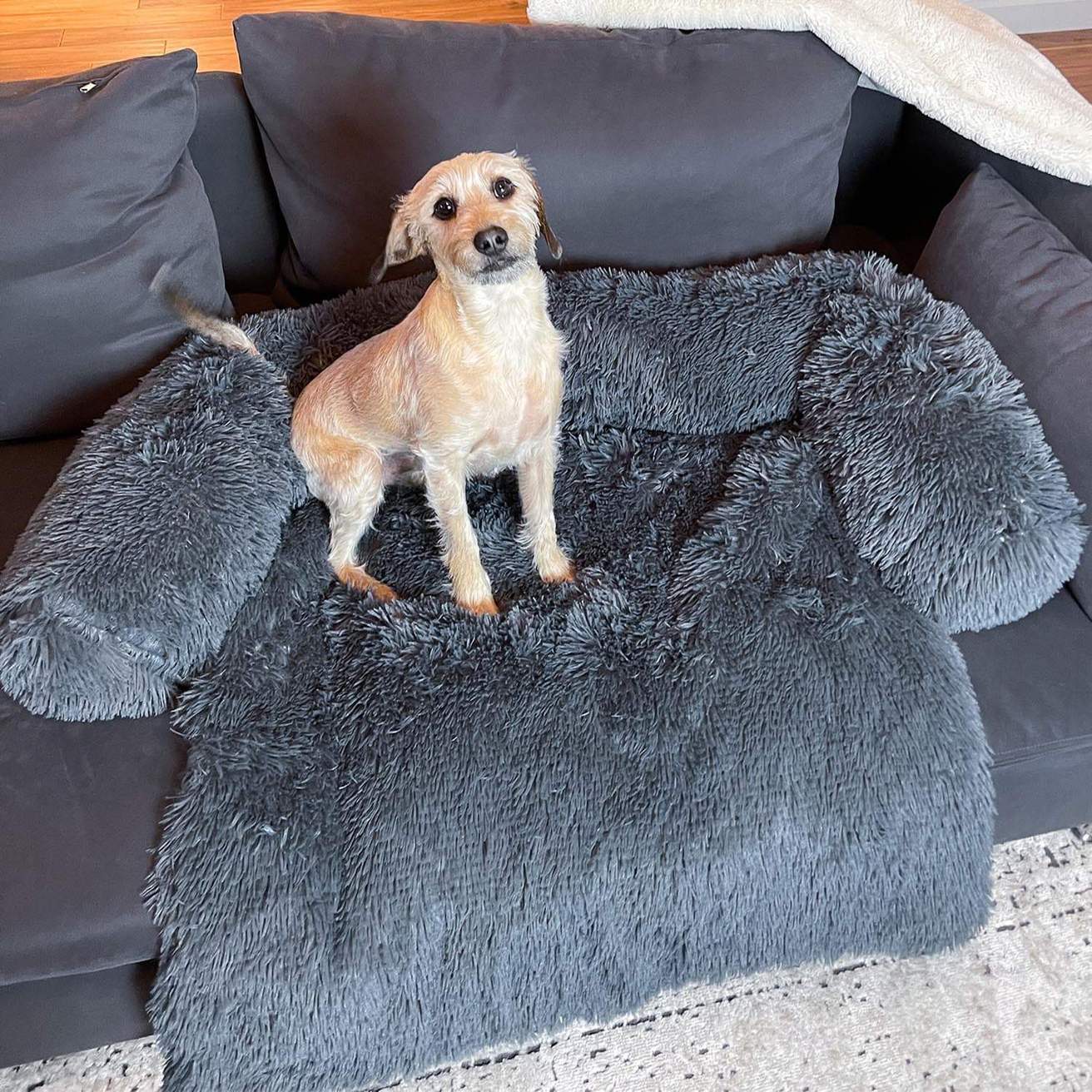 Sofa Protector™ | Verwöhnen Sie Ihr Haustier und schützen Sie Ihre Möbel!